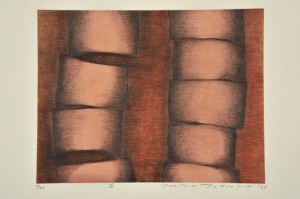 ＴＷＩＮ　ＣＯＬＯＲＳⅢ