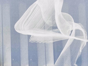 写真 2020-11-07 11 28 09.cleaned.heic