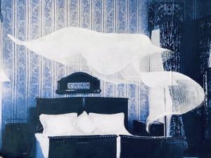 写真 2020-11-07 11 29 41 (1).cleaned.heic