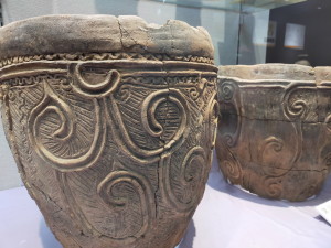 IMG20211114103328.cleaned